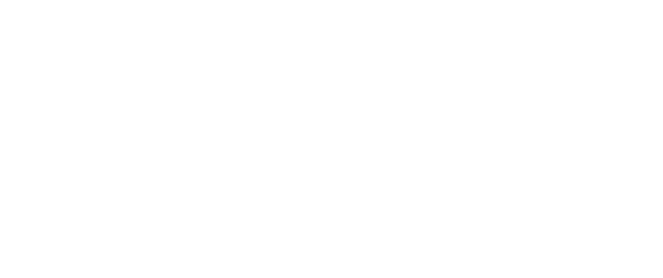 White text reading "Access Pro Twin Lake" with a stylized right-pointing arrow integrated into the design, set against a light background.